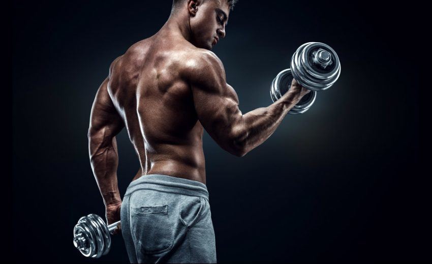 how to build big arms biceps triceps and forearms fast